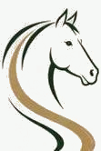 Pony